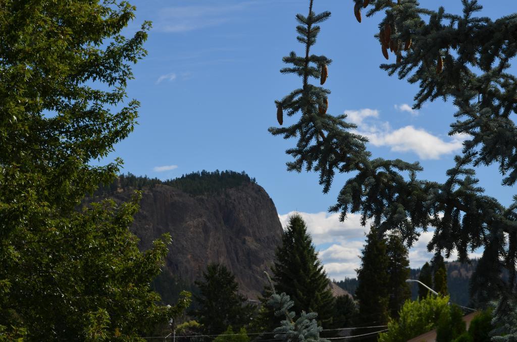 Dogwood Bed & Breakfast Summerland Exterior photo