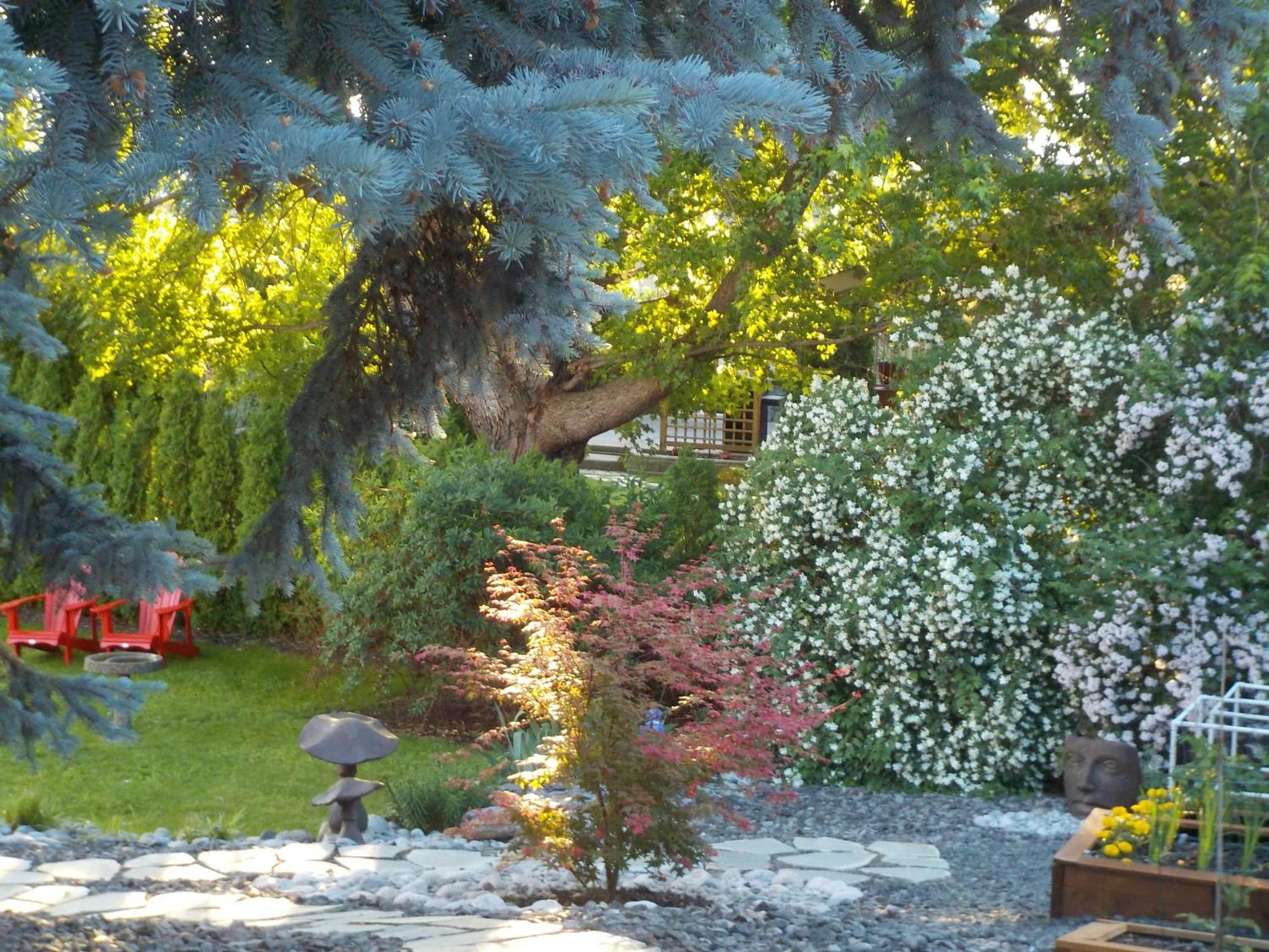 Dogwood Bed & Breakfast Summerland Exterior photo