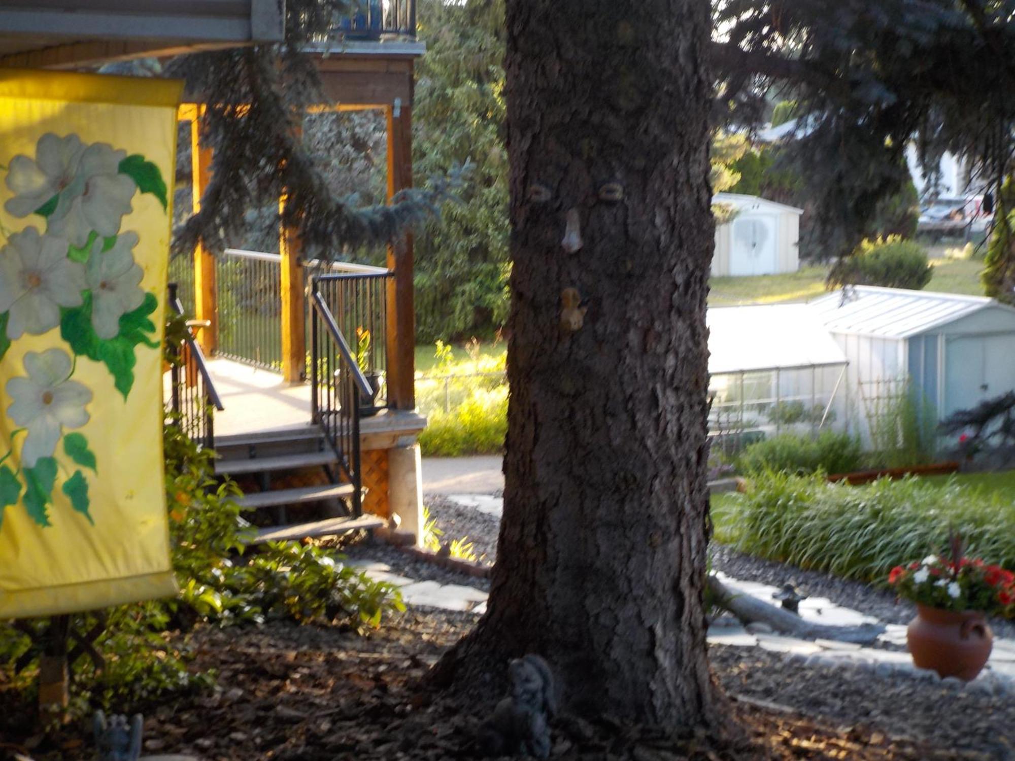 Dogwood Bed & Breakfast Summerland Exterior photo